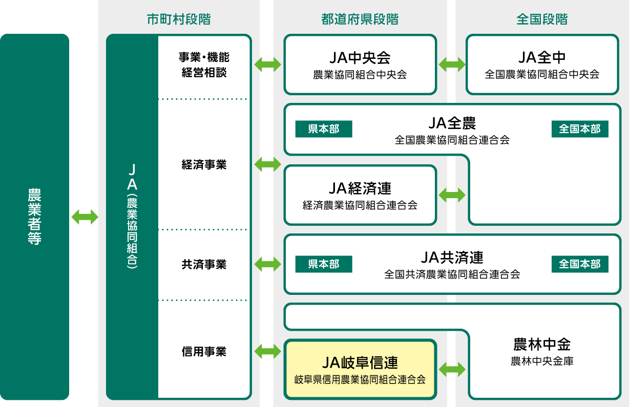 主な系統組織の仕組み