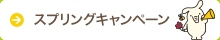 スプリングキャンペーン
